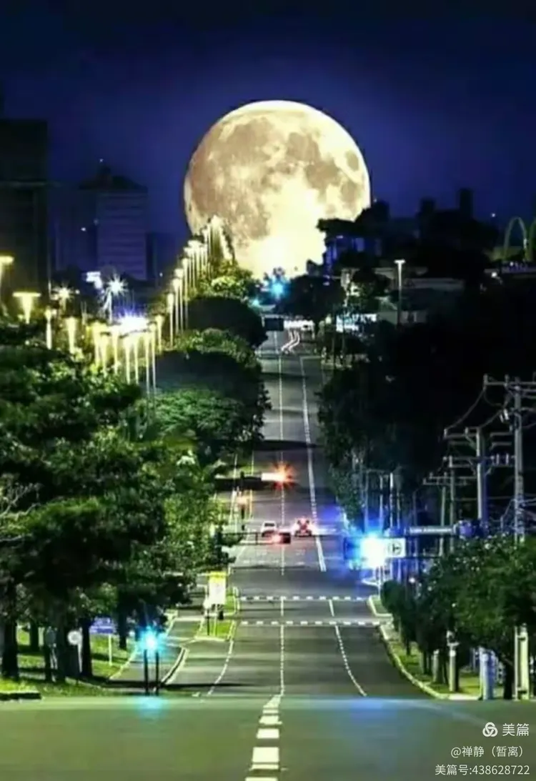 《想你的时候问月亮》